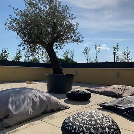 La Terrasse Du Parc Appartamento Marckolsheim